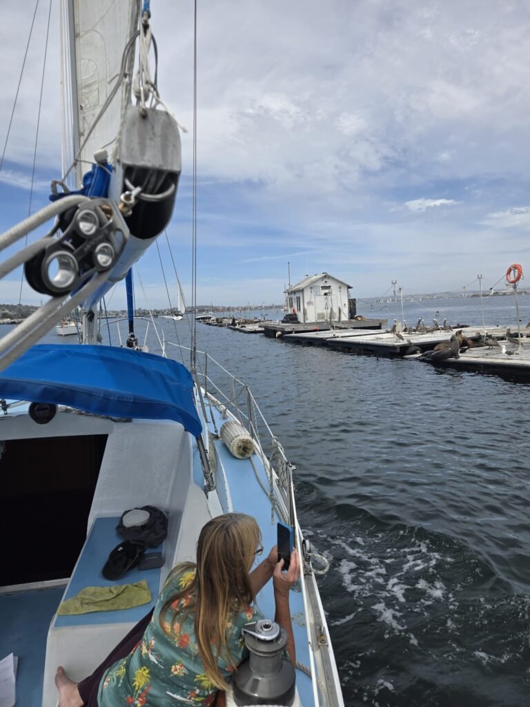 Barge 16