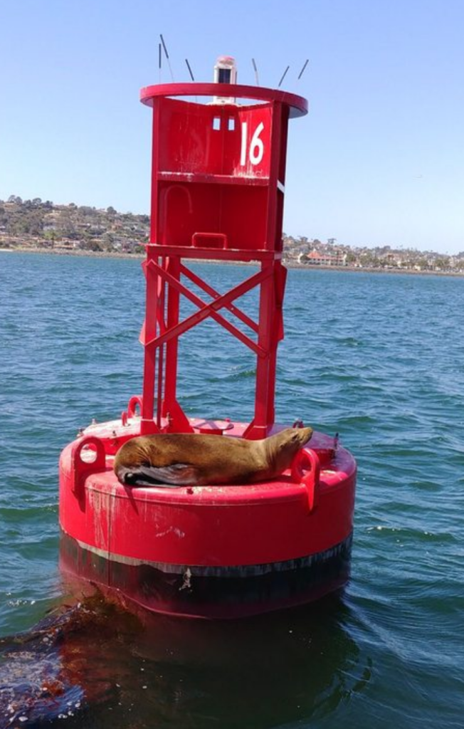 Red Seals